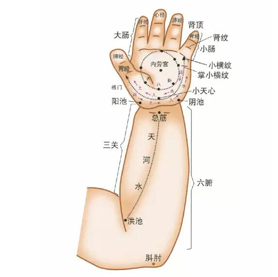 小儿推拿的穴位名词位置全篇,图片注释!